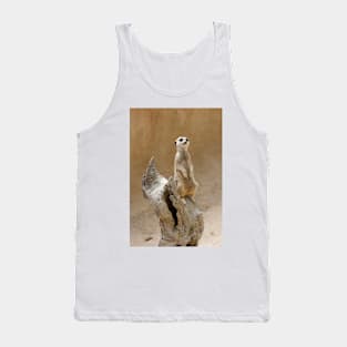 Meerkat, suricata suricata Tank Top